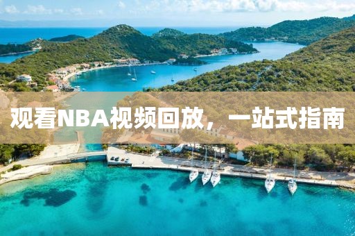 观看NBA视频回放，一站式指南