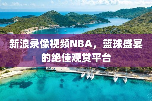 新浪录像视频NBA,篮球盛宴的绝佳观赏平台
