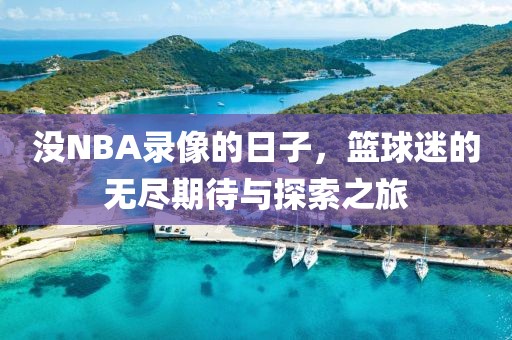 没NBA录像的日子，篮球迷的无尽期待与探索之旅