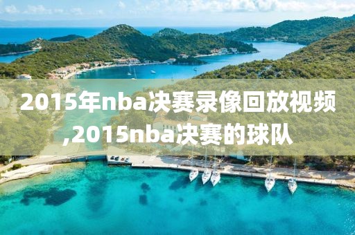 2015年nba决赛录像回放视频,2015nba决赛的球队