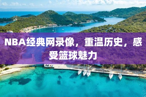 NBA经典网录像，重温历史，感受篮球魅力