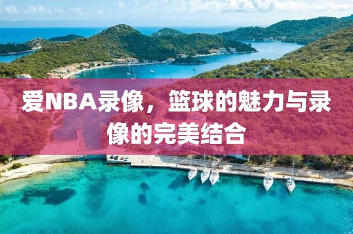 爱NBA录像，篮球的魅力与录像的完美结合