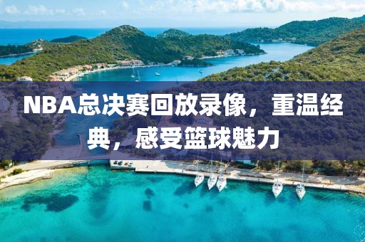 NBA总决赛回放录像，重温经典，感受篮球魅力
