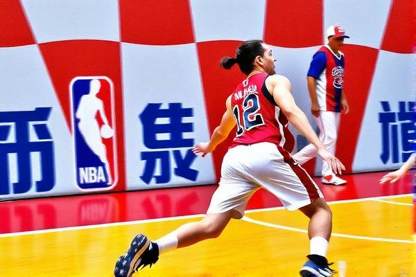 重温经典，2013年NBA总决赛录像回顾