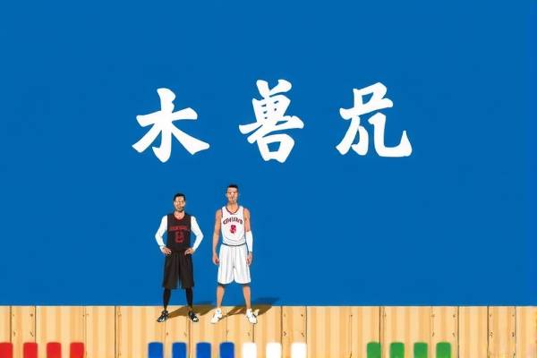 NBA总决赛精彩瞬间录像，回顾与赏析